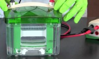 Công ty y tế Bio-Rad tuồn tiền hối lộ như thế nào