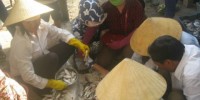Oan án động trời giết ông nội cướp 20 ngàn mua mía?