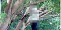 Dùng súng bắn vợ bị thương, chồng chạy vào rừng treo cổ tự tử