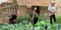 Vì sao cần tiến hành sửa đổi Bộ luật Dân sự?