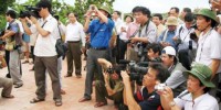 Báo chí thông tin sai sự thật: Thống nhất một cơ quan xử phạt