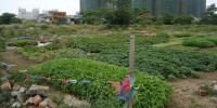Giấu thông tin đất đai để tư lợi