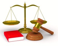Cà Mau: Hình sự hóa vi phạm hành chính?