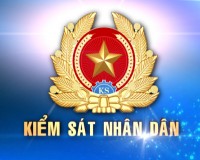 Thu gọn vai trò của VKS trong án dân sự