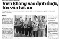 Chặt 12 cây tràm bị tội, chặt cây Hà Nội thì sao?