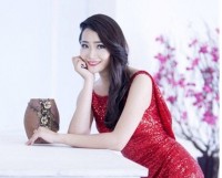 Triệt phá đường dây người mẫu bán dâm hàng ngàn USD