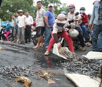 Không để ‘chặn quốc lộ’ thành tiền lệ
