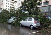 Dông lốc làm chết người, ai chịu trách nhiệm?