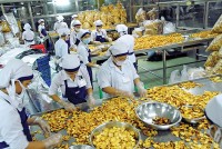 Quốc hội sẽ đáp ứng yêu cầu nhận BHXH một lần