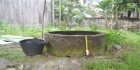 Tiếng “cốc, cốc” giữa trưa khiến cô ruột giết cháu