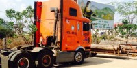 Gia Lai: Chi cục trưởng Kiểm lâm ra văn bản “vượt mặt” Bộ trưởng