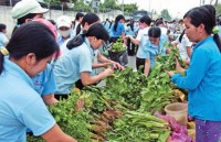 Đầu năm 2016 sẽ được hưởng BHXH một lần