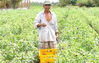 Người bị ‘quên’ 21 năm được bồi thường 300 triệu
