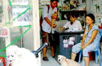 Trộm thú cưng, có nên khởi tố?
