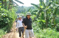 Vụ thảm sát ở Yên Bái: Tung 500 công an truy bắt nghi phạm