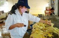 Đừng ‘đè đầu cưỡi cổ’ dân mà thu phí, lệ phí