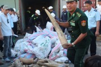 Cận cảnh ba container chứa hơn 2,2 tấn ngà voi ở Đà Nẵng