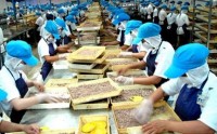 Những chính sách mới có hiệu lực thi hành trong tháng 9-2015 (Phần I)
