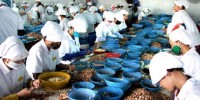 Tham vấn sao để văn bản quy phạm pháp luật không "sống thực vật"?