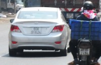 Heo trôi nổi từ lò ra chợ