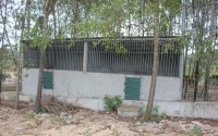 Giám đốc khu sinh thái thừa nhận nạn nhân bị hổ cắn không phải nhân viên
