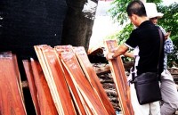 Bán cả ‘rừng non’ cho Trung Quốc
