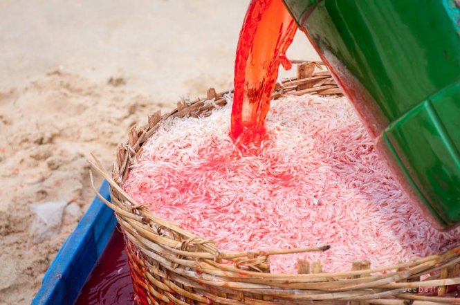 Ảnh ngư dân nhuộm đỏ con ruốc gây "bão" mạng