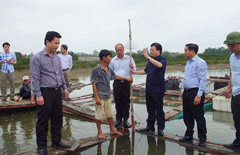 ‘Ai đầu độc cá cũng phải bị xử lý’!
