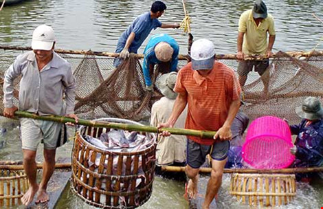 Để đại gia không ‘sớm nở tối tàn’