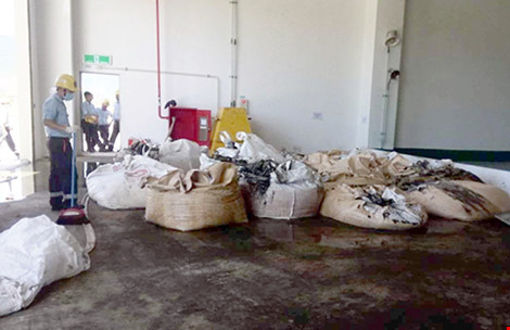 Sếp ‘môi trường’ đem chất thải của Formosa về... bón cây
