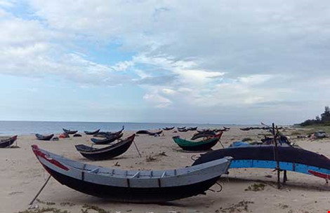 Chưa có kết luận về an toàn cá biển miền Trung